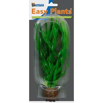 Easy Plants Middle NR1